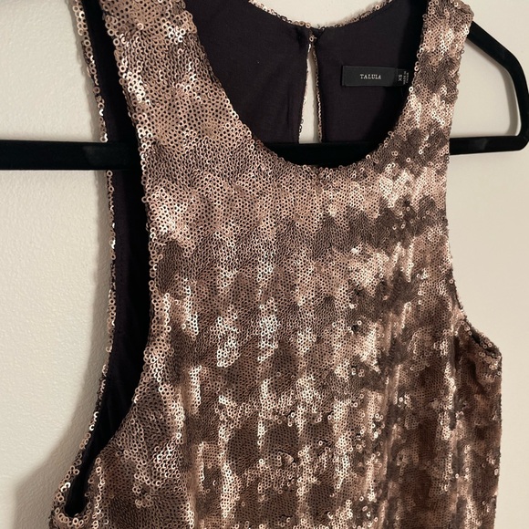 Talula Canterbury Sequin Dress from Aritzia Size XS - Picture 4 of 11